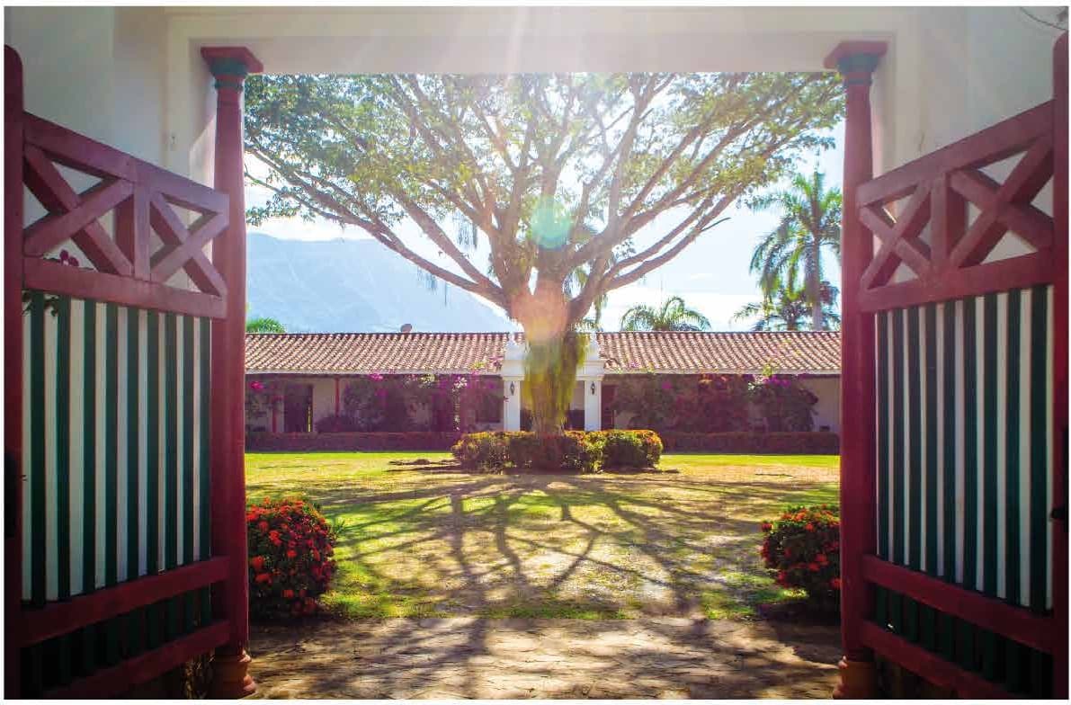 Finca Farallones — foto 4